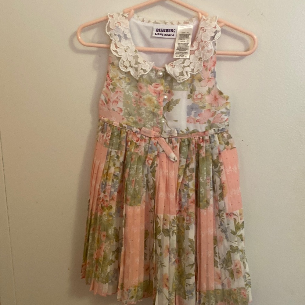 Blueberi boulevard pleated dress w/pear buttons and lace collar